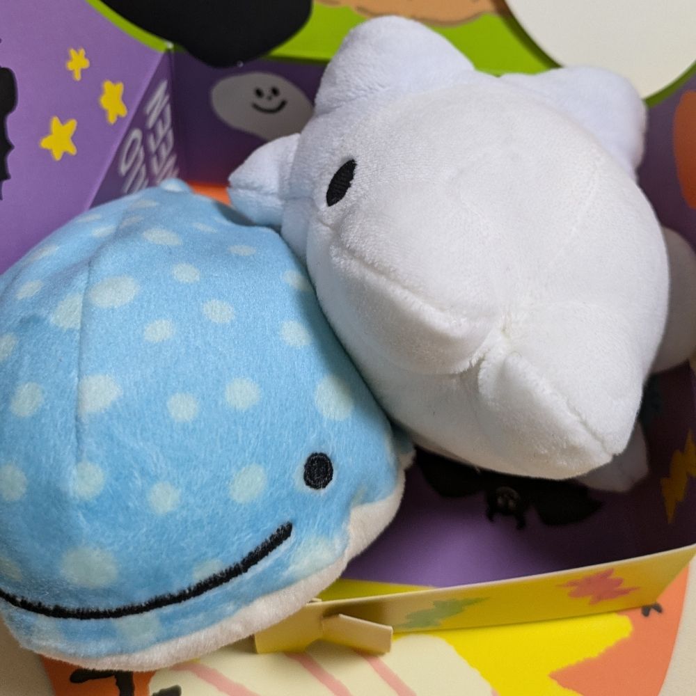 らっこ(仮)