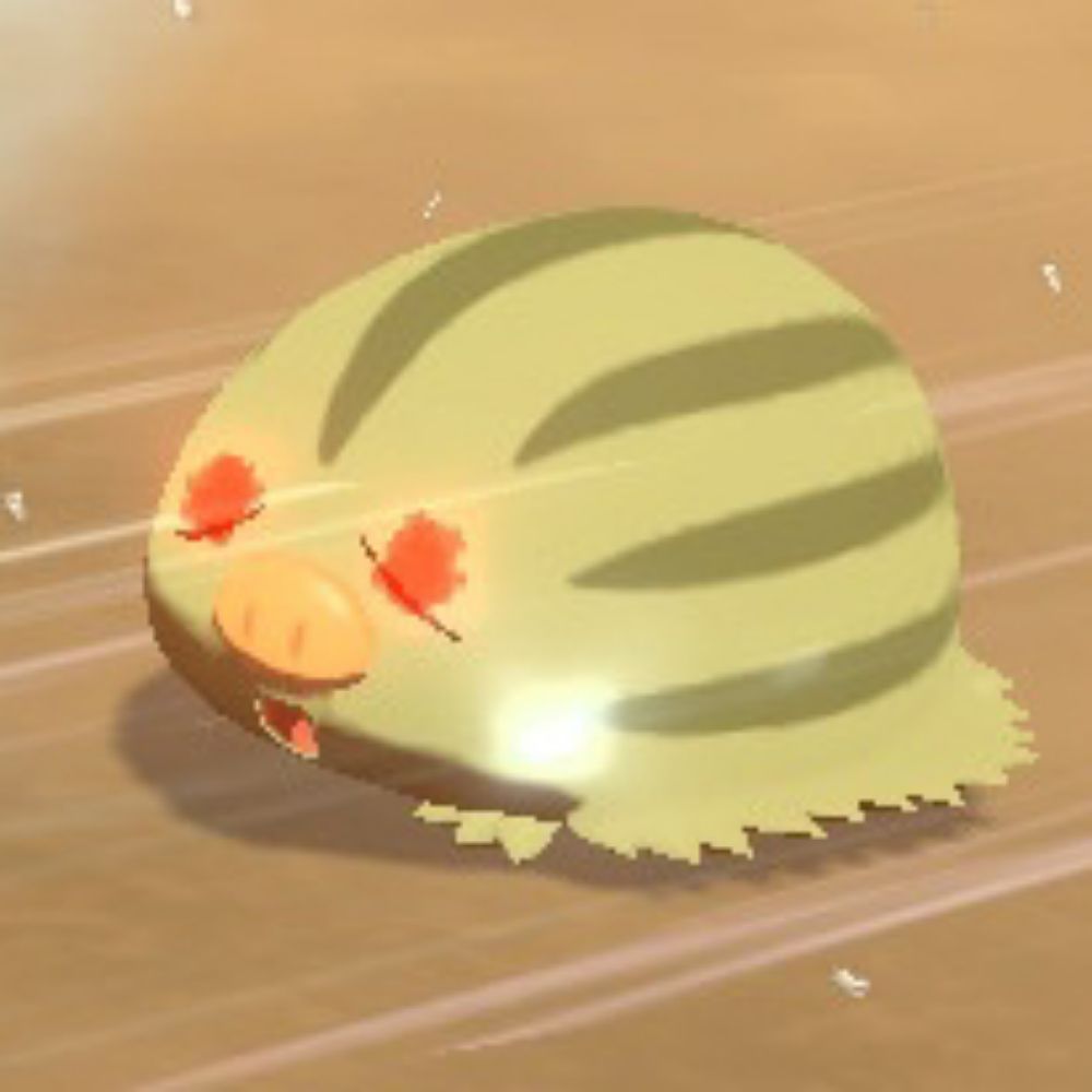 うり（むー）
