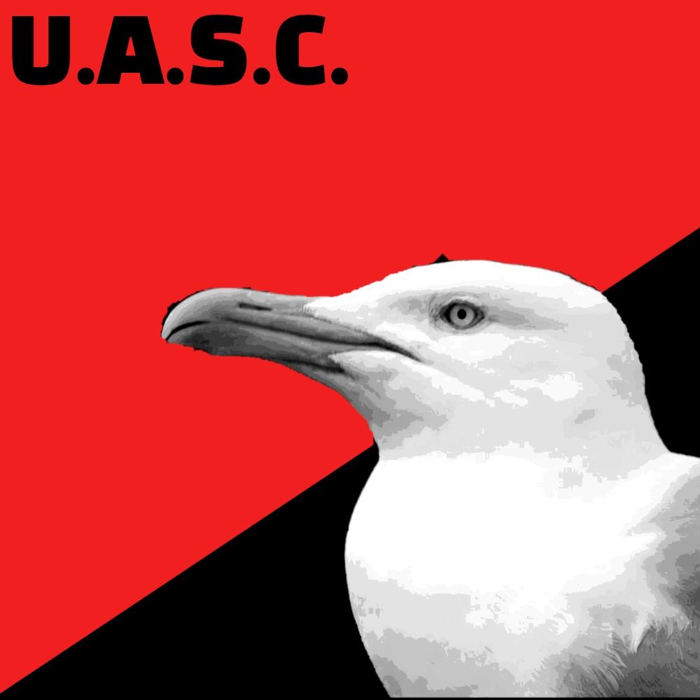 Untitled Anarchist Seagull Channel/Hyperpolyglotting