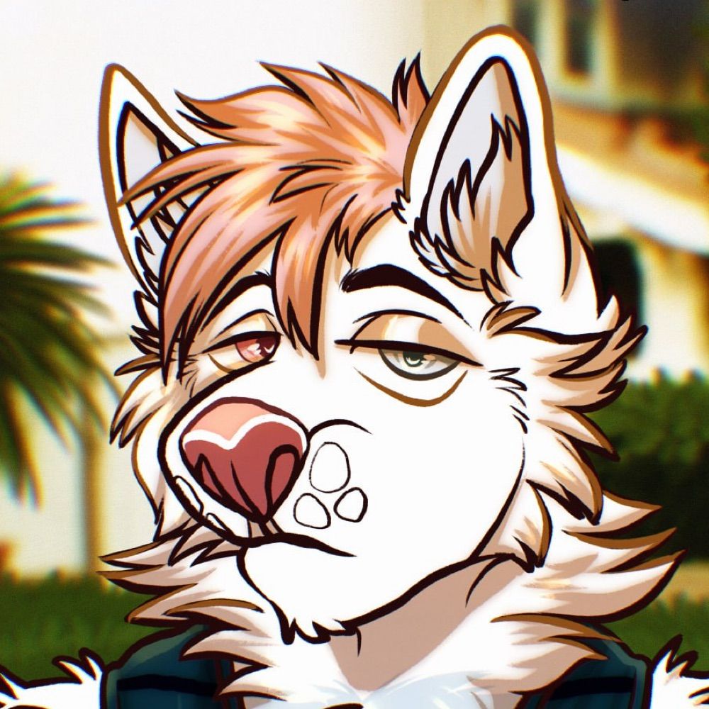 novocanine🔜AC