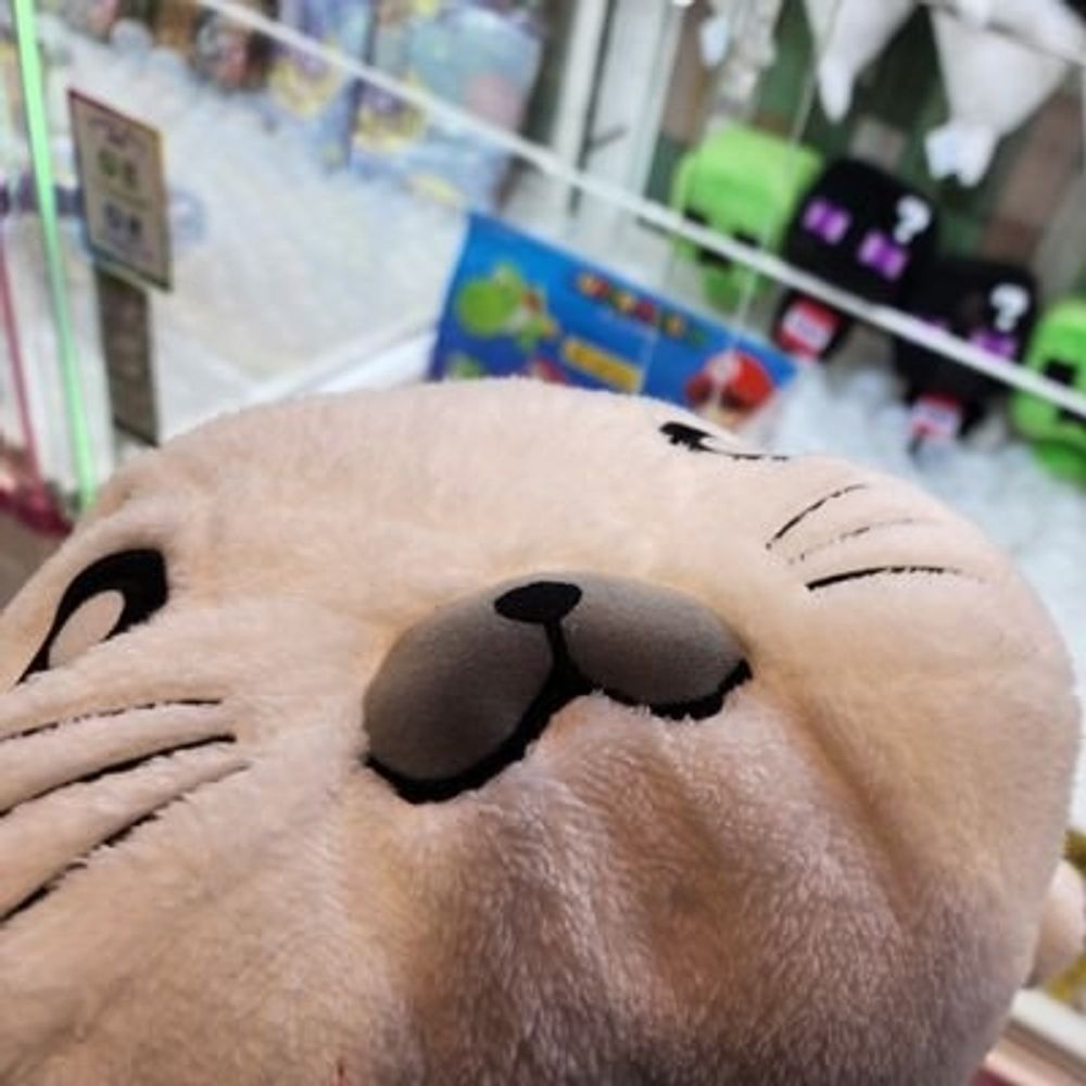 よっしー