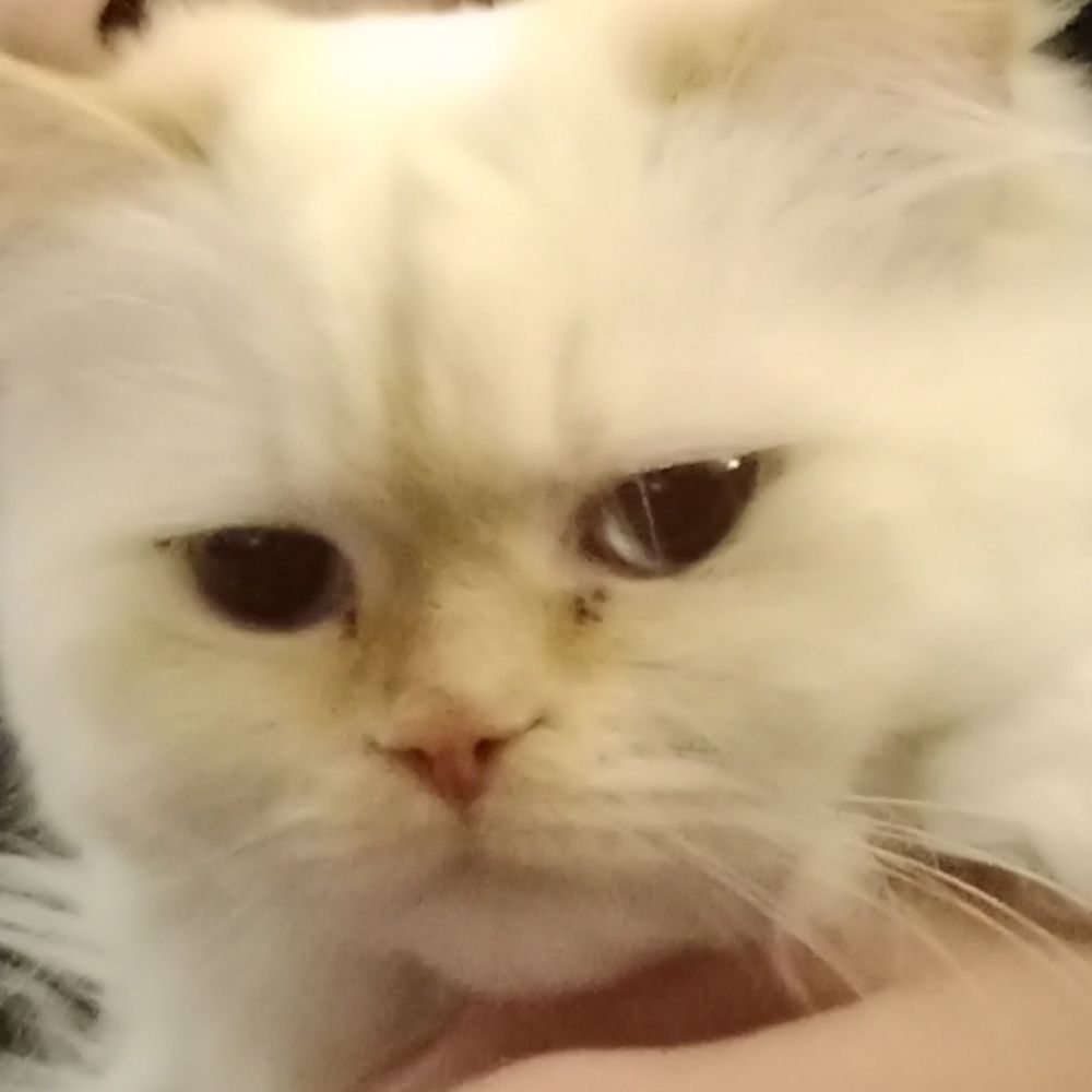 Chracler
