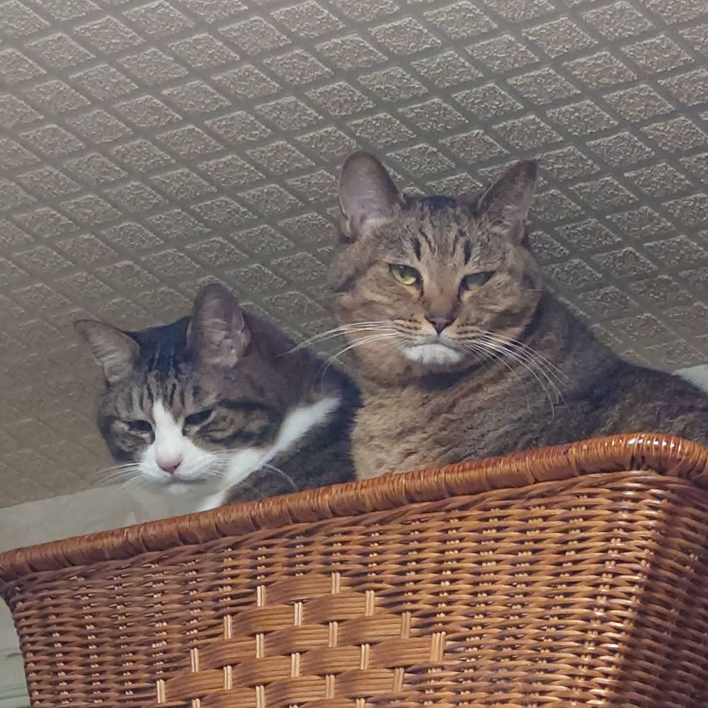 おゆ