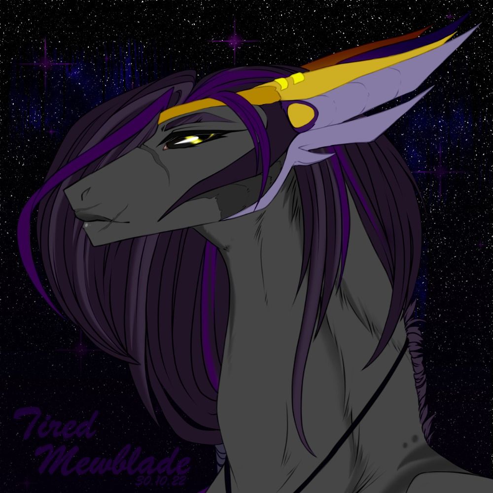 Tired Mewblade