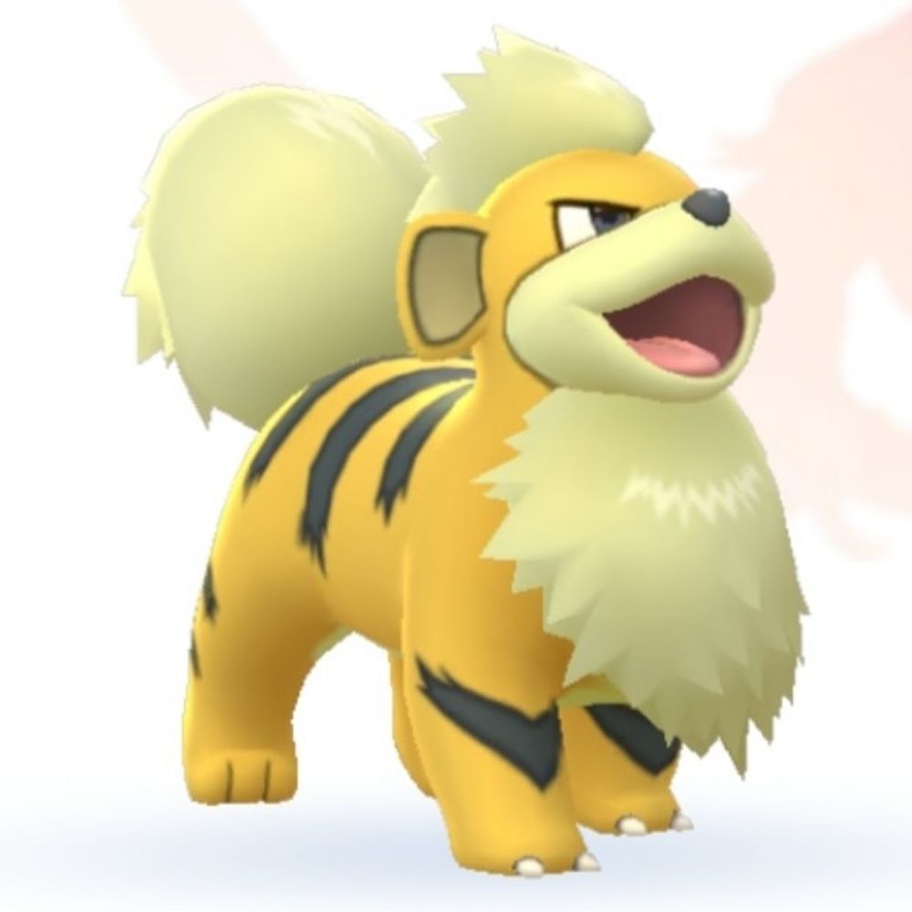 Golden Growlithe