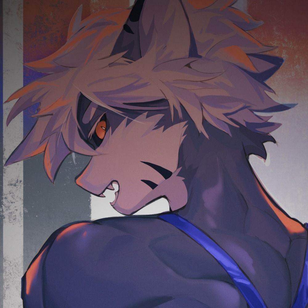 Hurricane_Sharkcat