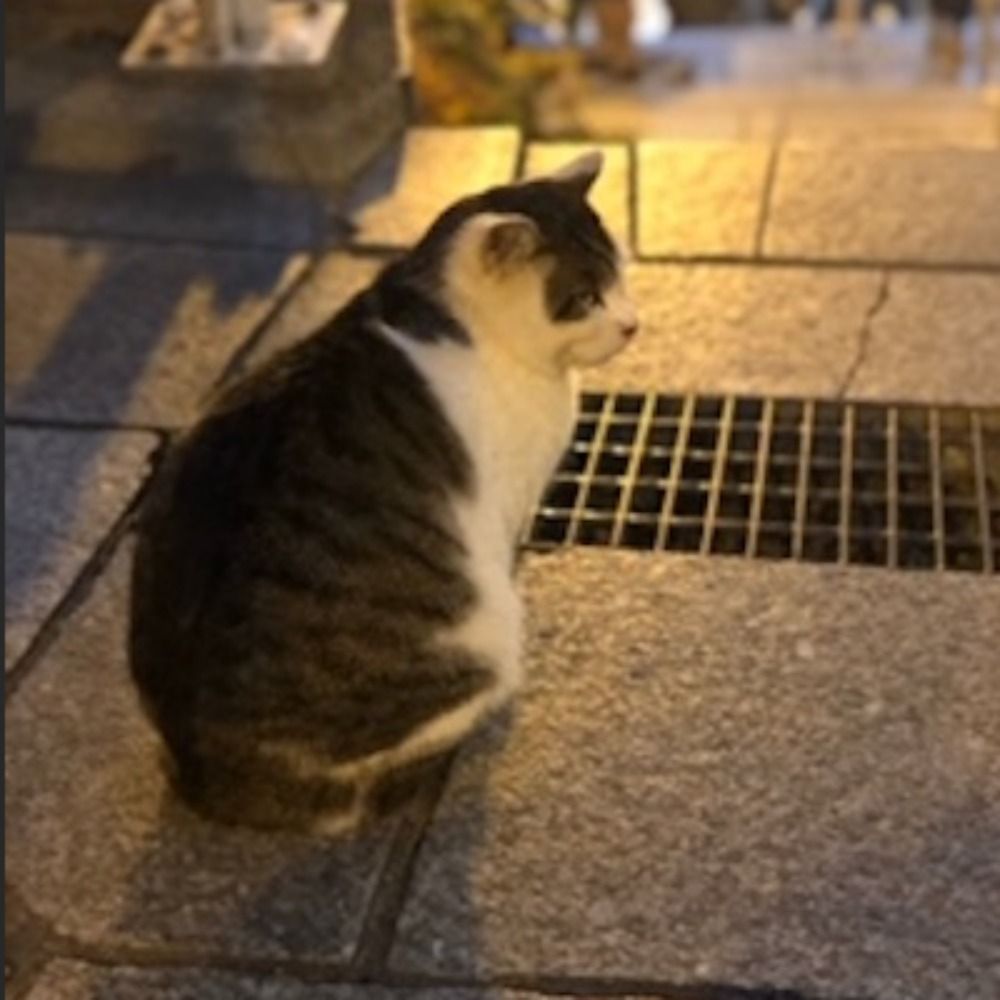 おぐ