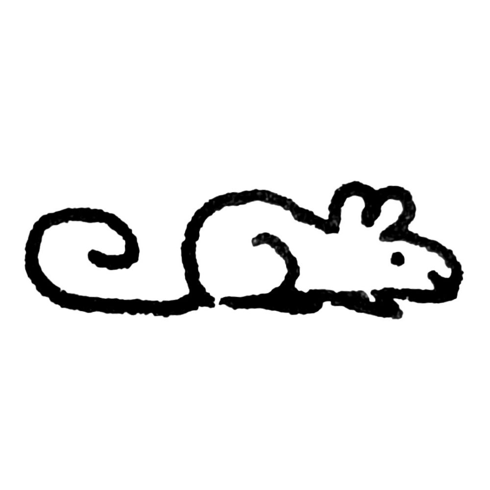 squiggs