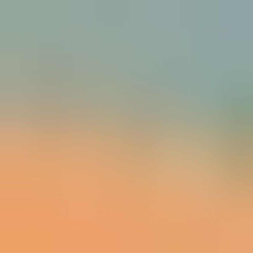 字褪