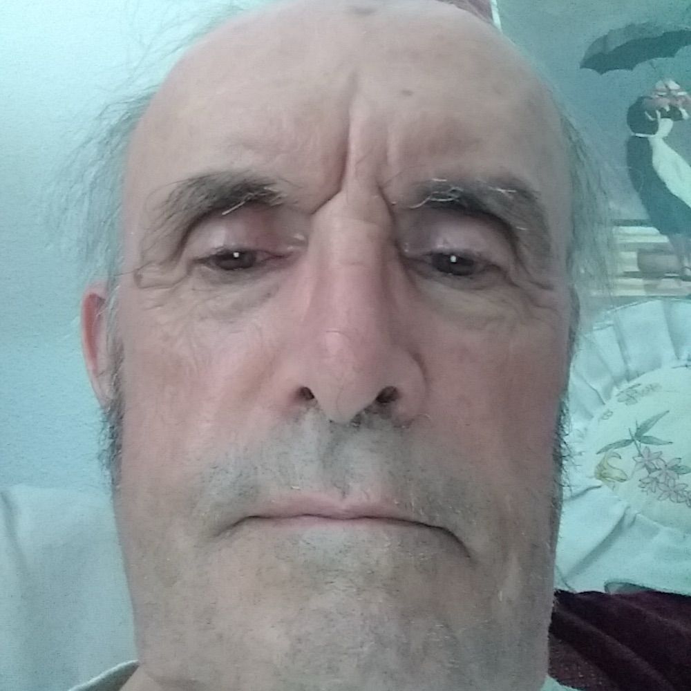 Steve Flowers