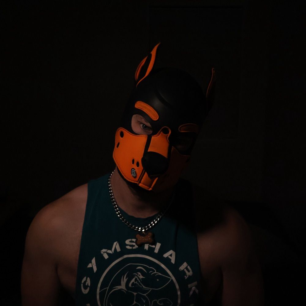 Ca$hMaster Apollo