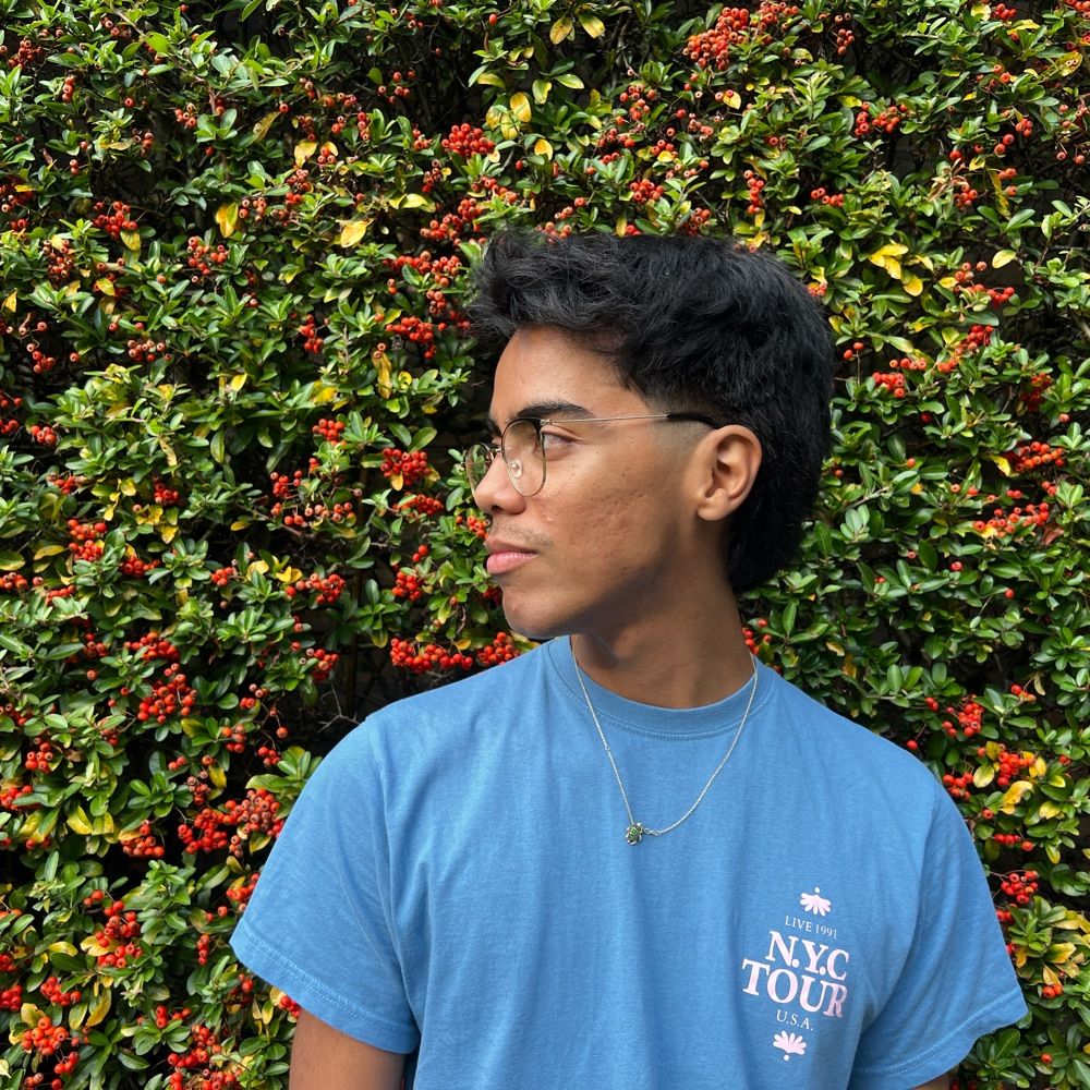 dylan 𓆉 🌱