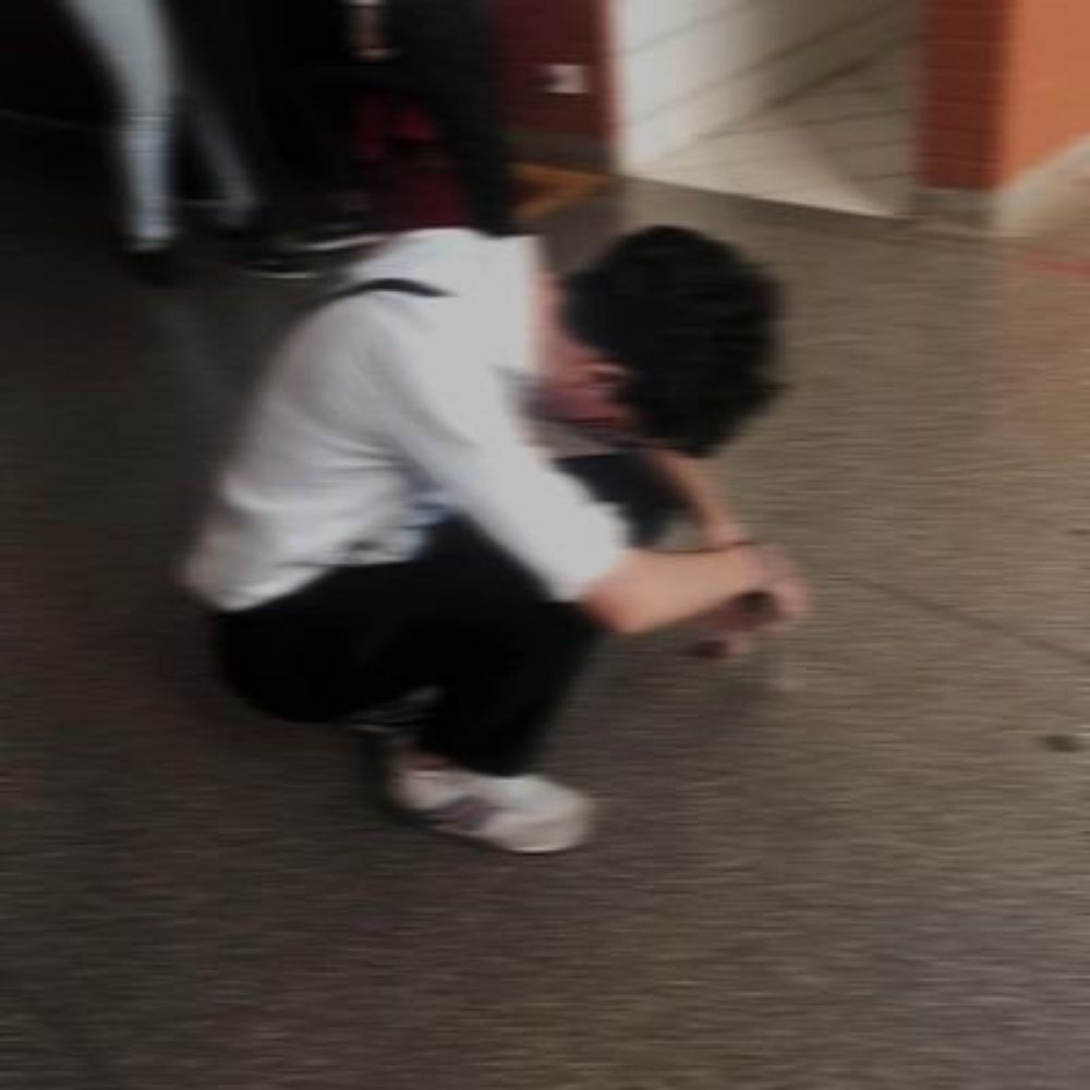 yoshimuraz 