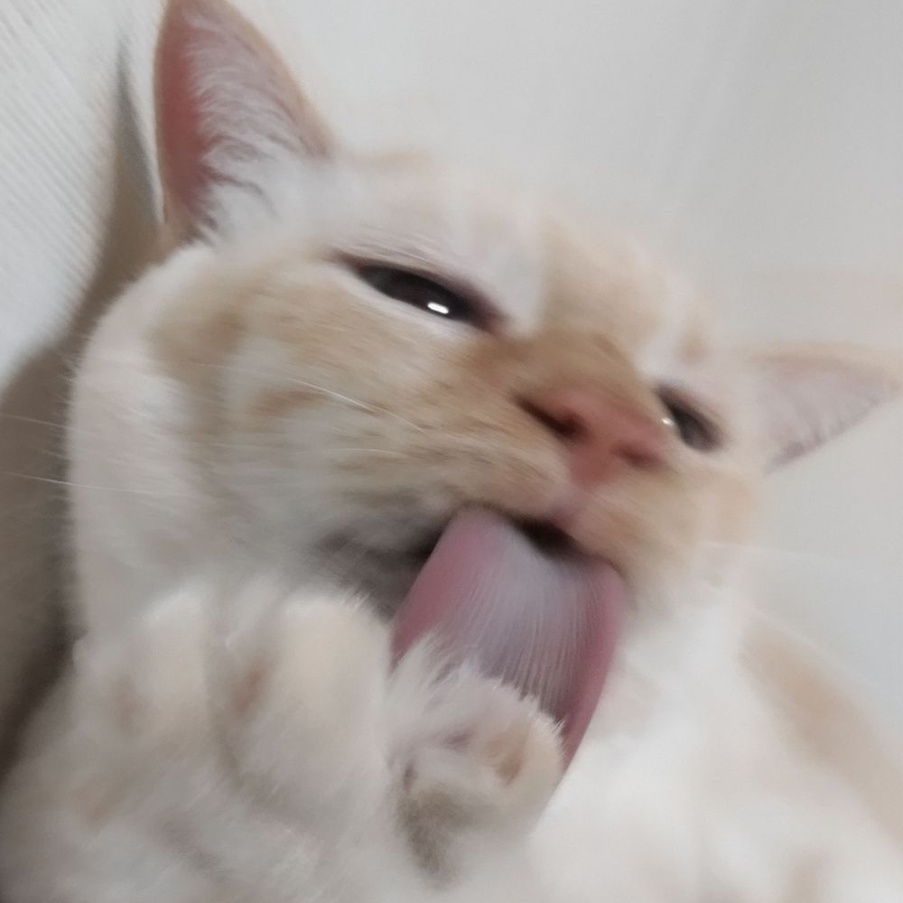 たっけ