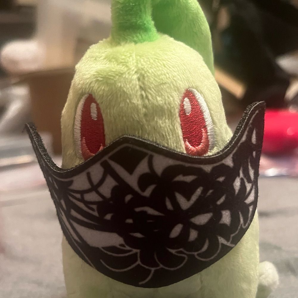 ぴこりーた