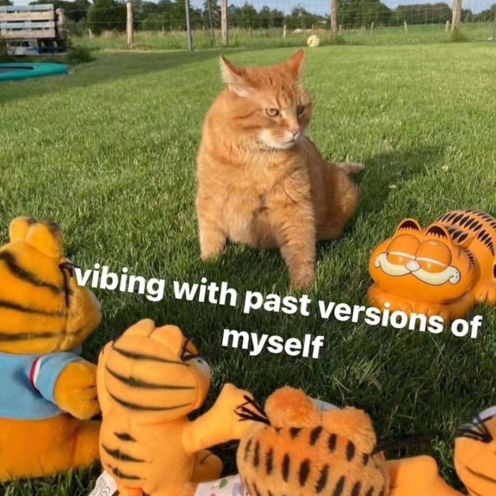 Norinhoo