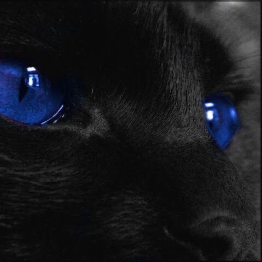 𝑳𝑰𝑳𝑰𝑻𝑯