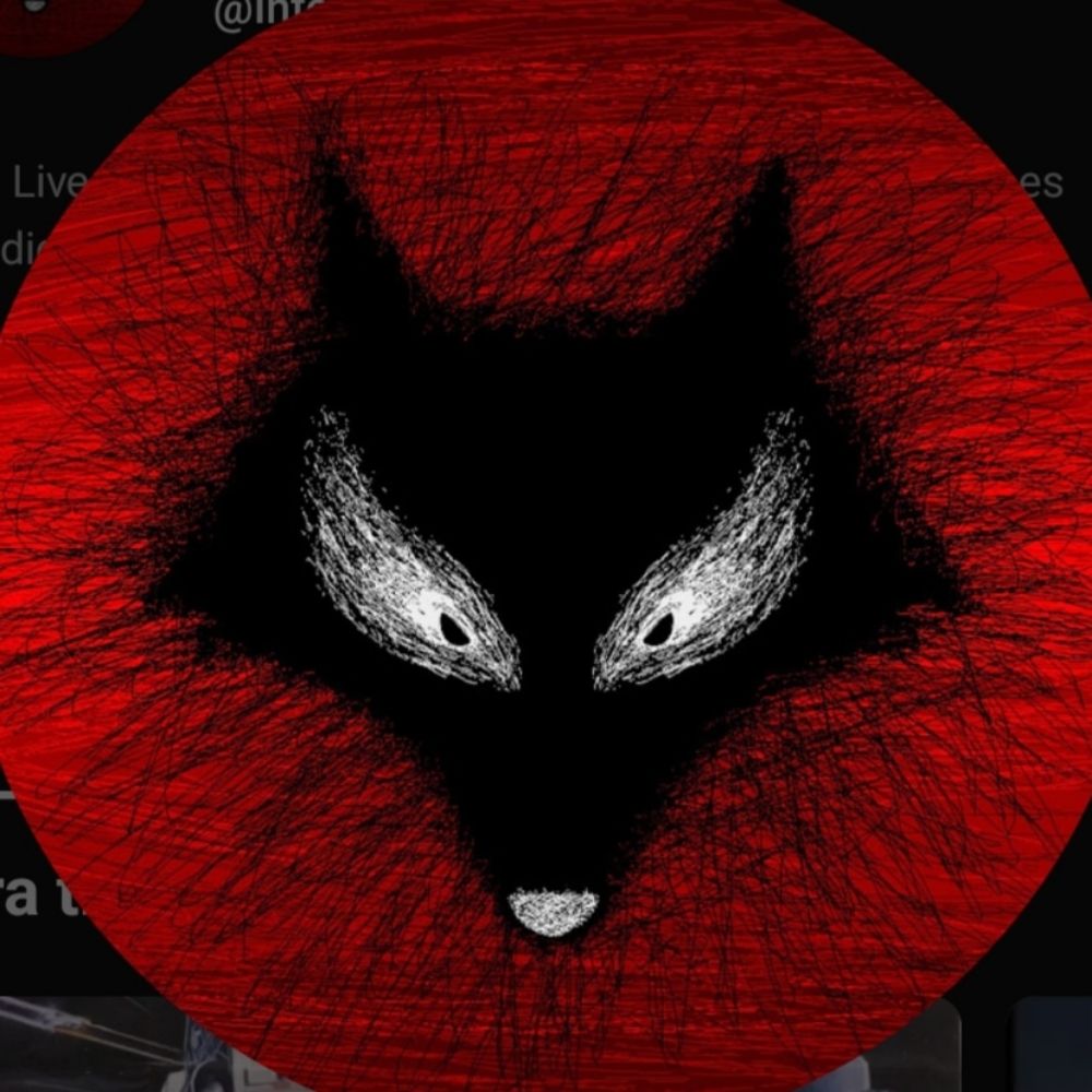 🦊 🐾 #IntensoFOX 🐾 🇧🇷 🚩 Me Sigam!!! 🚩