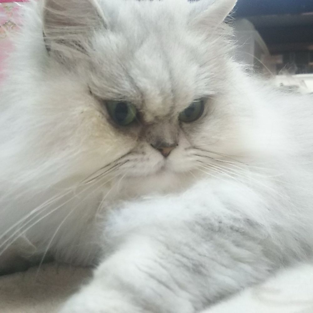 ユウナ