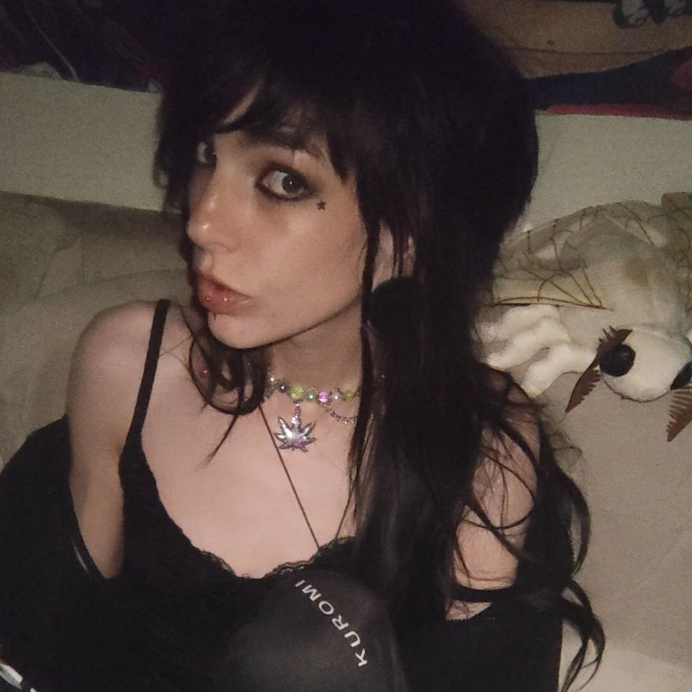 lily anne