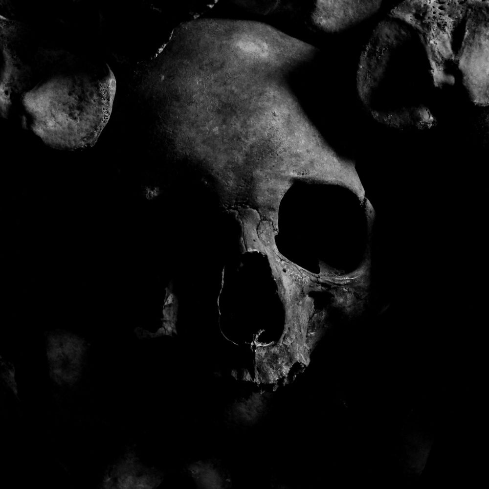 Daily Horror Pics