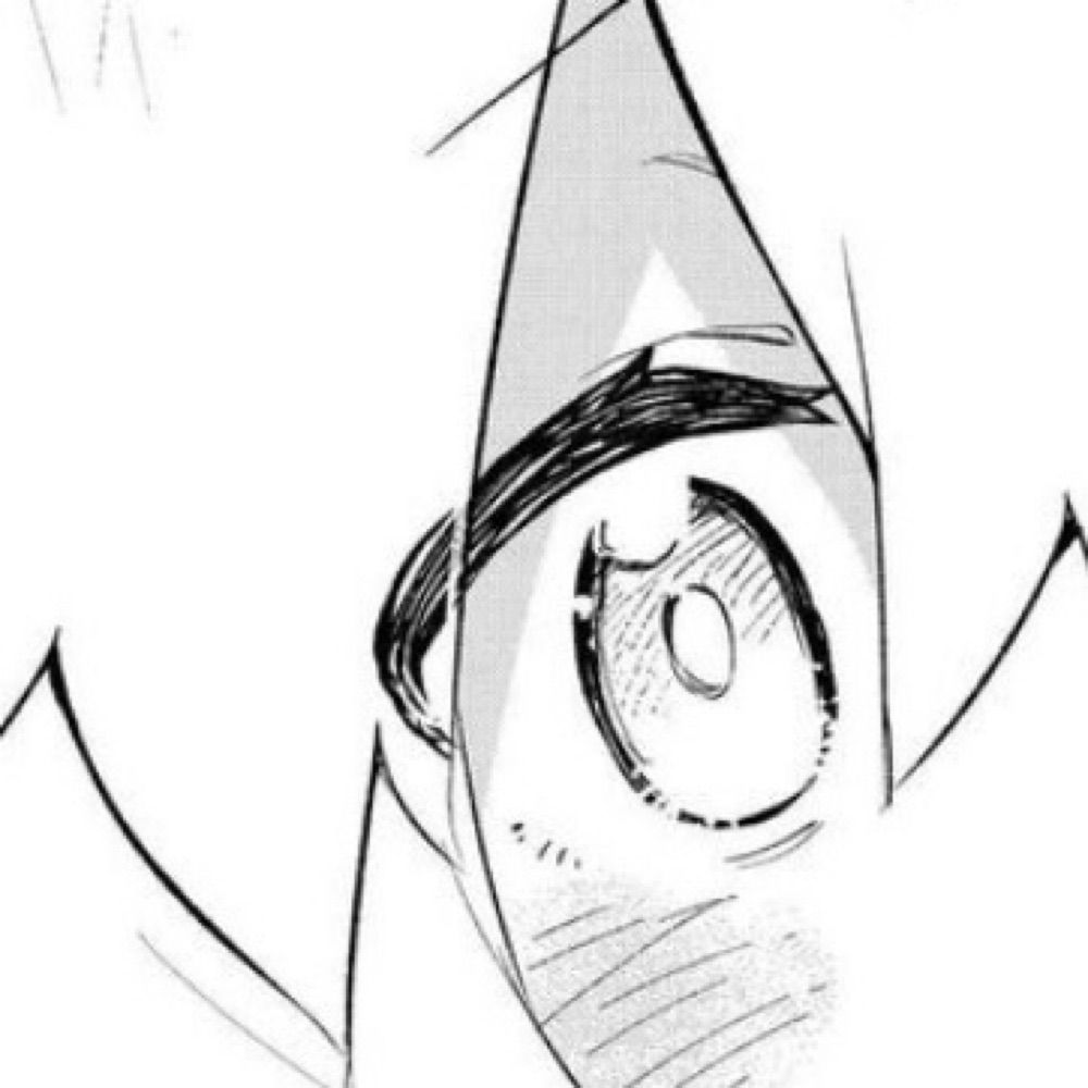 Mokki