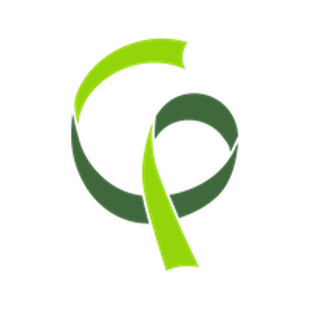 Cerebral Palsy Research Network