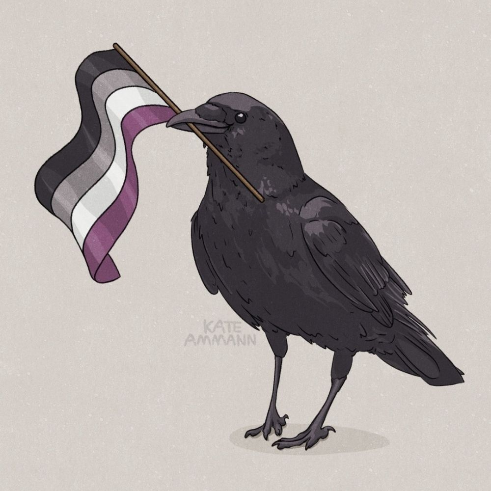Corvo