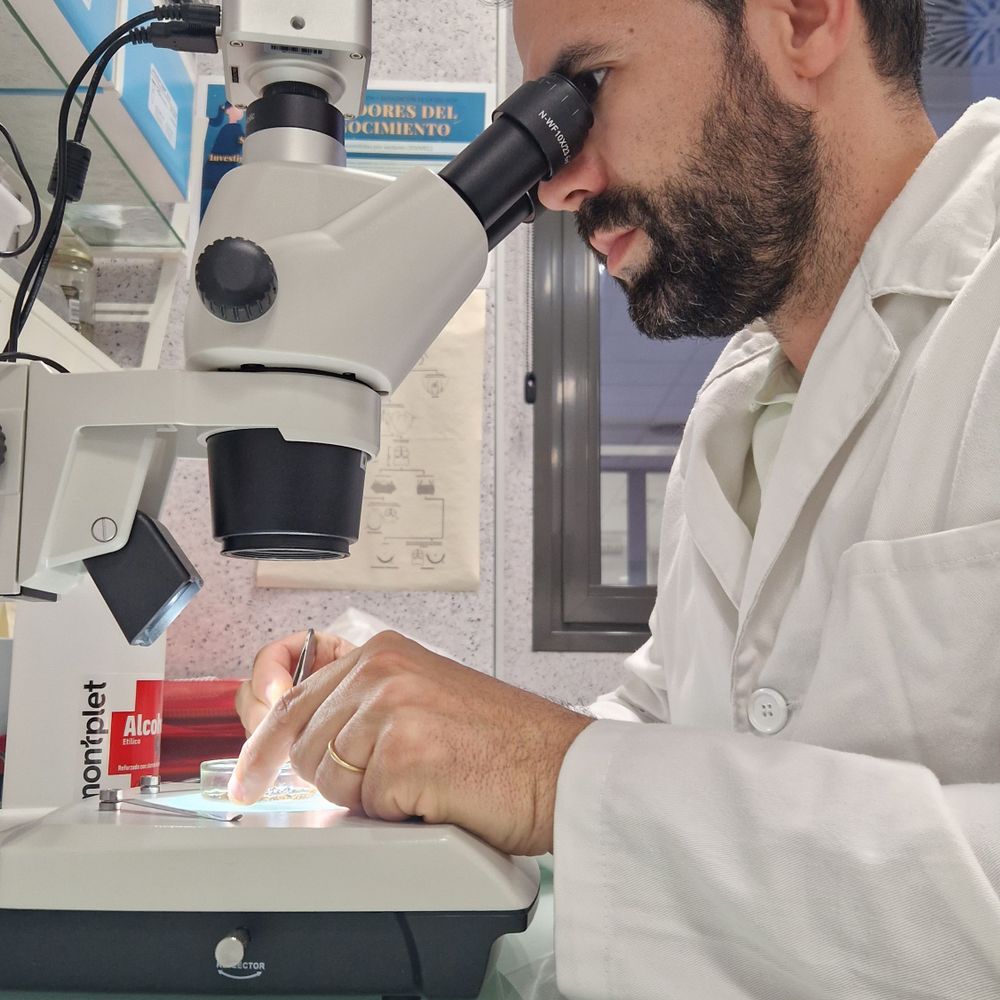Mikel Alexander González