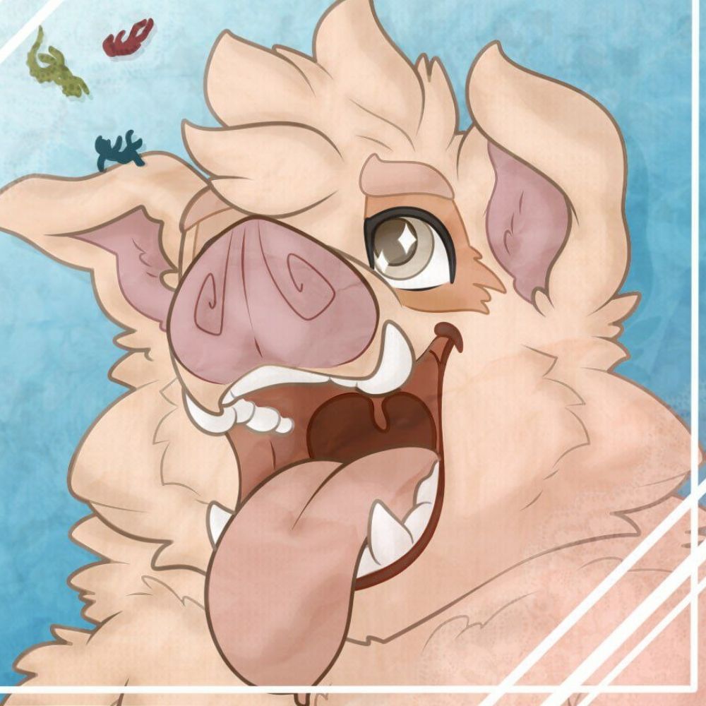 Kune ₍^ò⚇ó^₎
