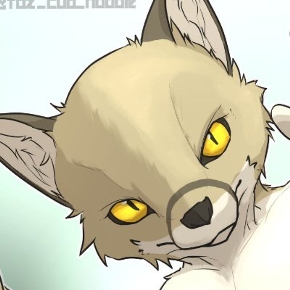 仔狐饂飩's avatar