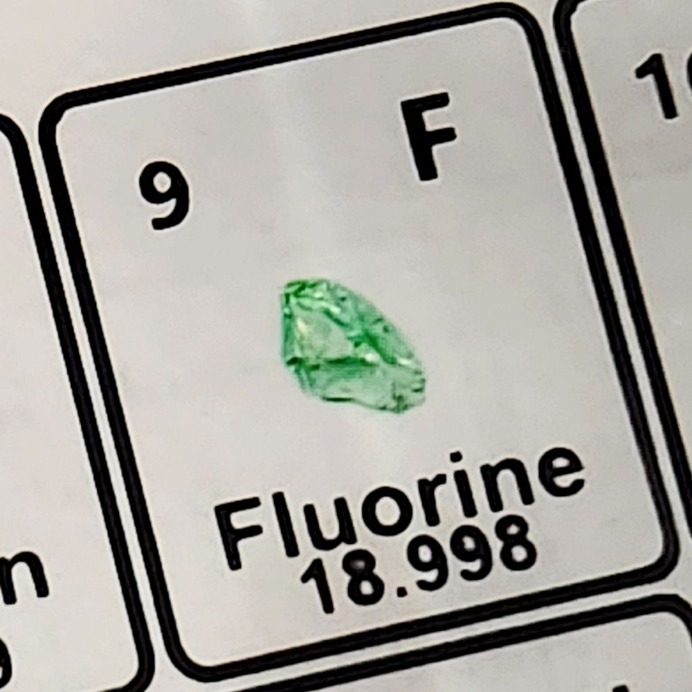F