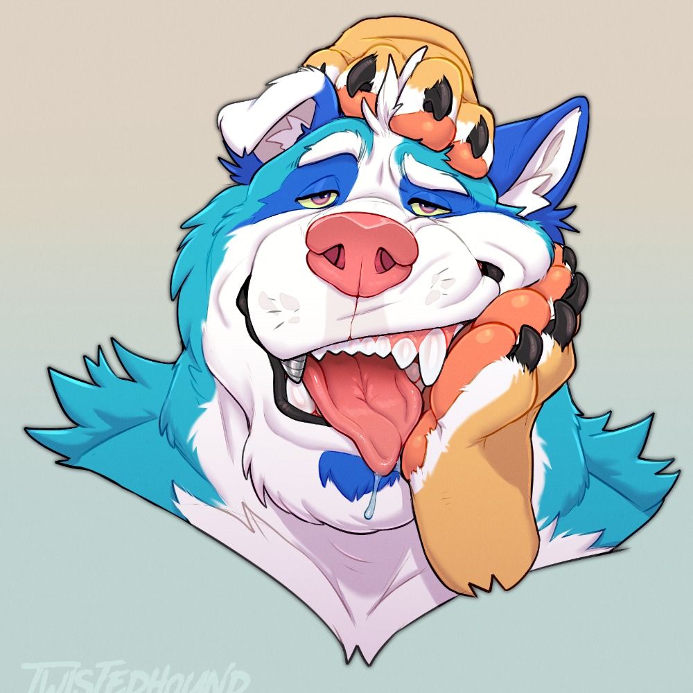 Drillwolf