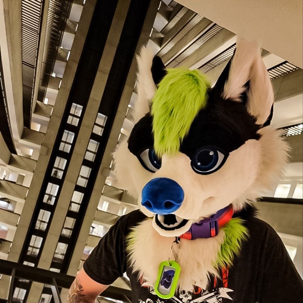 Jupiter Wolf⏭️Bewhiskered