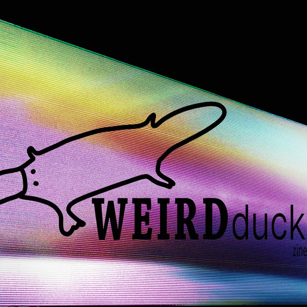 WEIRD duck zine