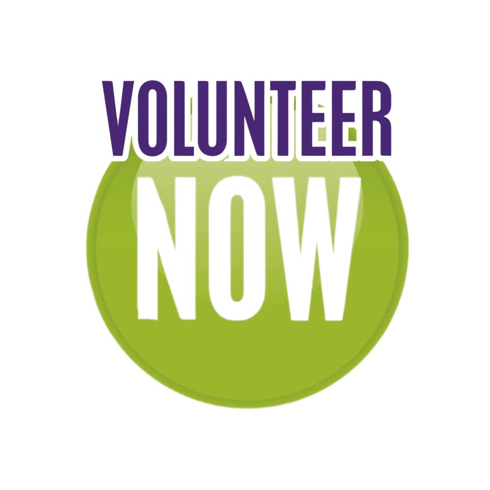 Volunteer Now