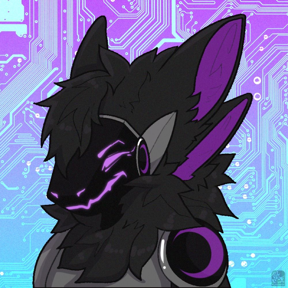 𝐈𝐜𝐲 