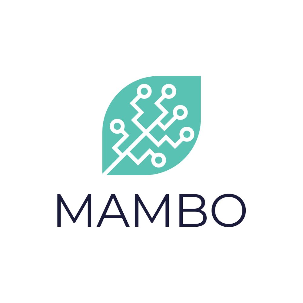 MAMBO Project
