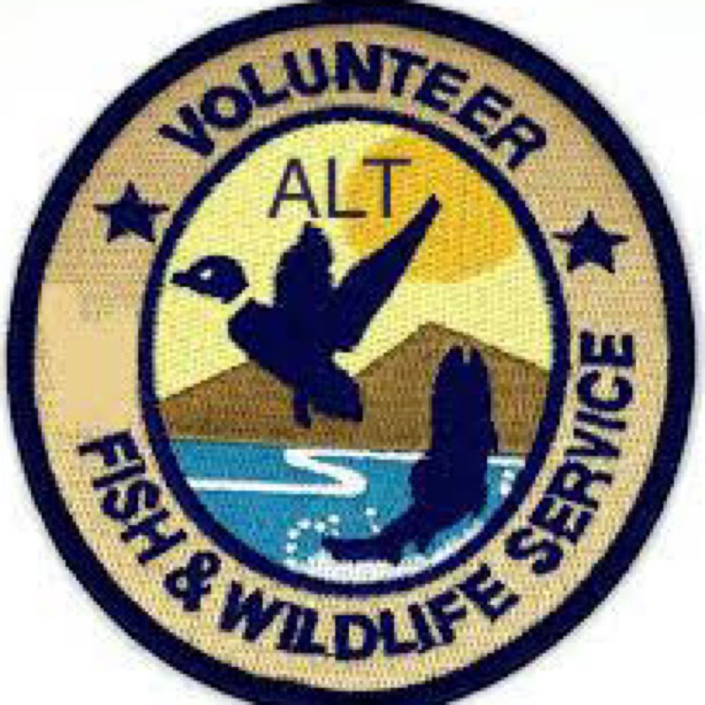 Profile picture altvolunteerfws.bsky.social