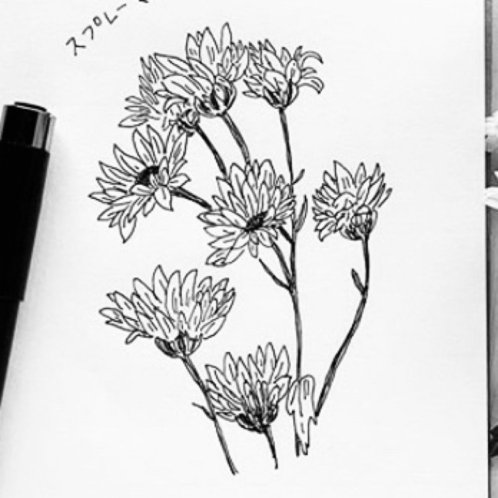 miii-aminui.bsky.social