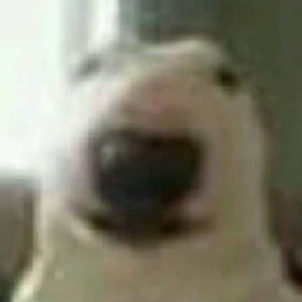 Kunkun