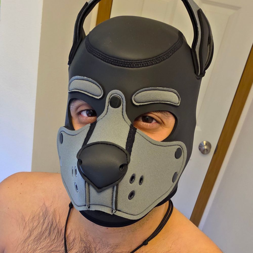 UmbralPup