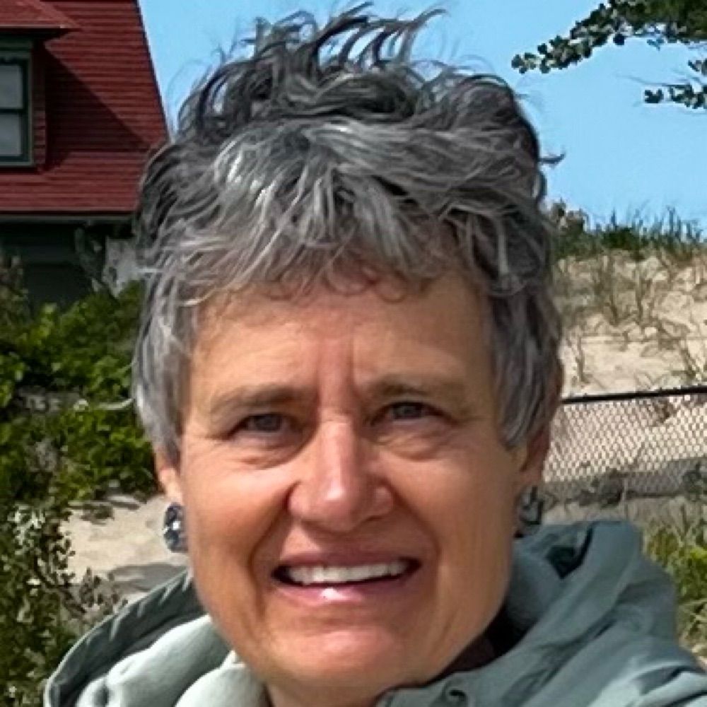 Ann Strehle