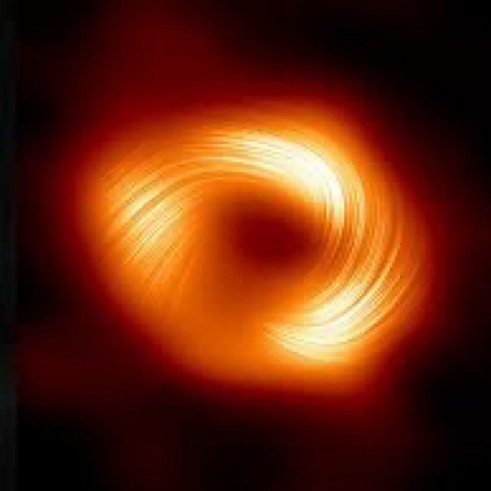 observer-marlex.bsky.social