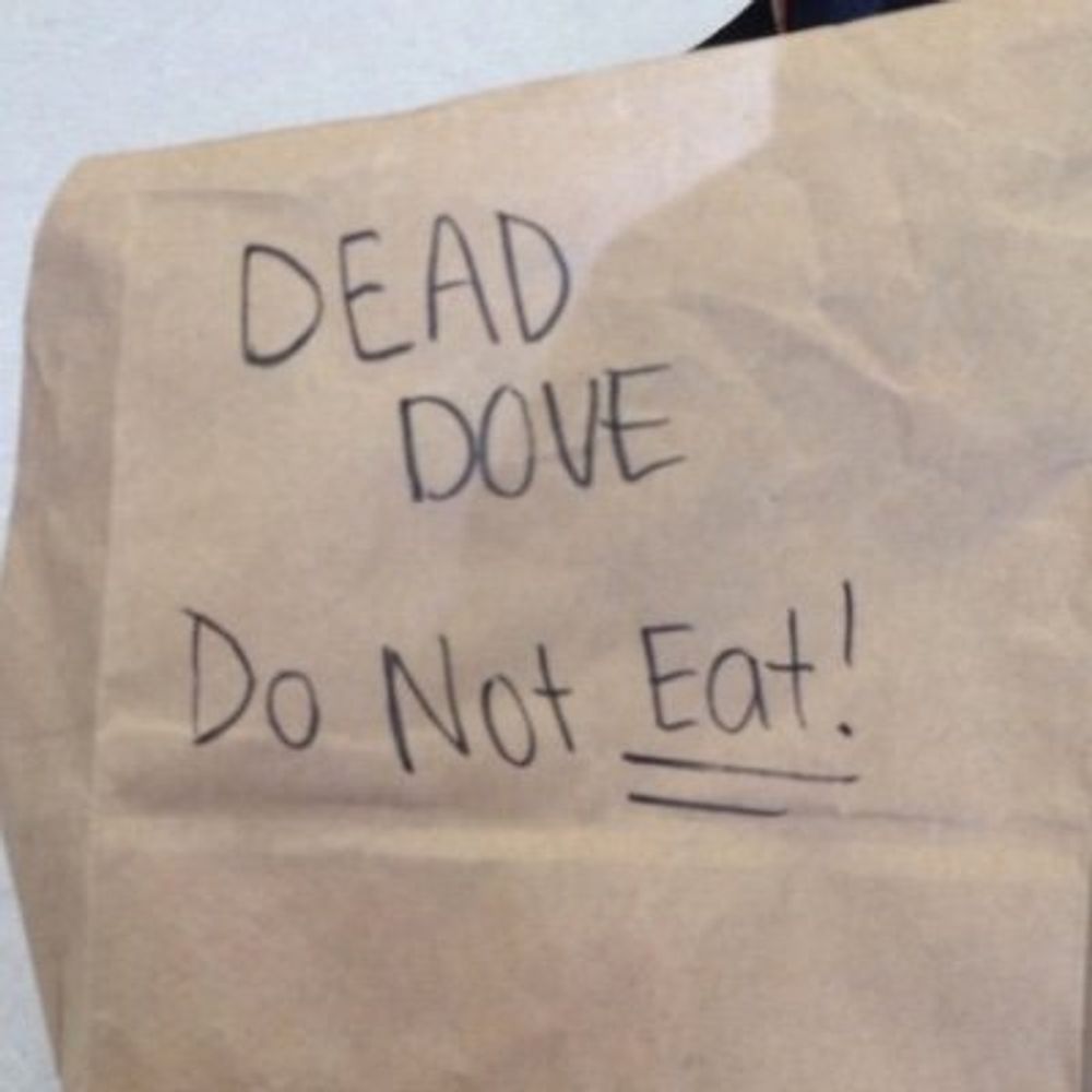 Dead Dove Quote Bot