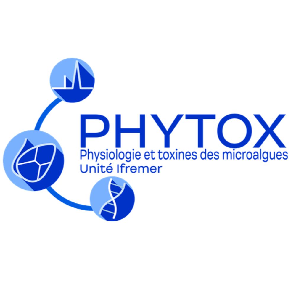 Phytox