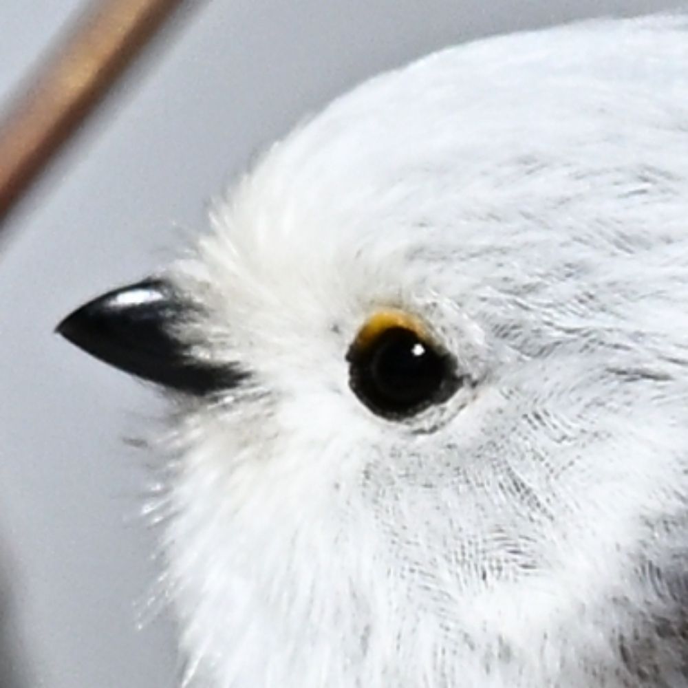 ・▲・