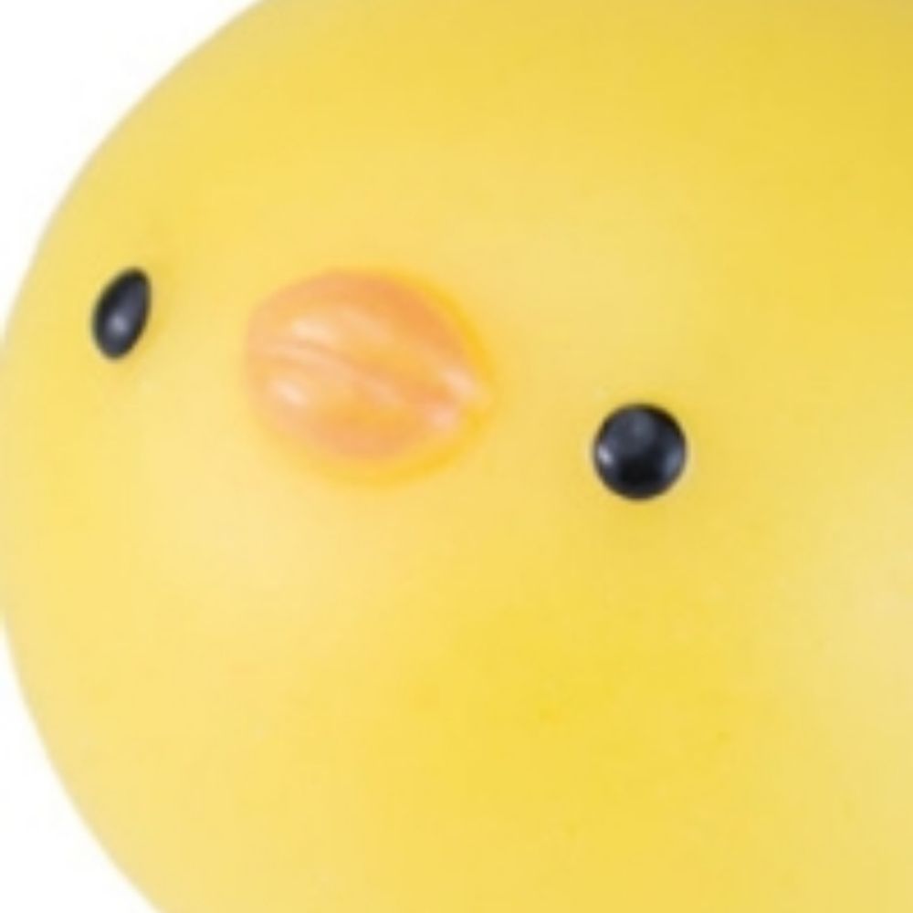 ____hitoe