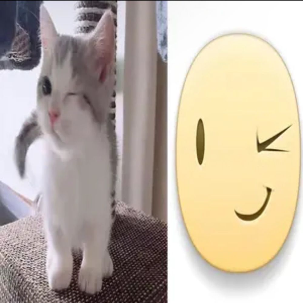 𝐥𝐢 ª +!