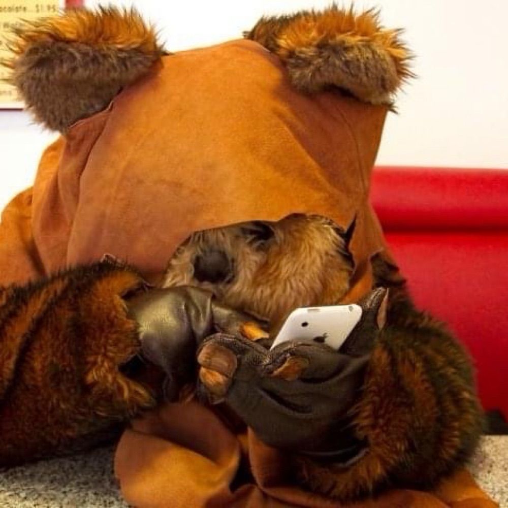 Ewok mecha pilot 